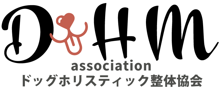 犬好き必見！ドッグ整体に関する習い事・資格取得のスクールなら大阪市平野区の『ドッグホリスティック整体協会』